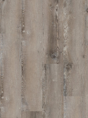 wGEW50-L782 Profilor Gewerbe-Objekt-Vinyl Graukiefer...