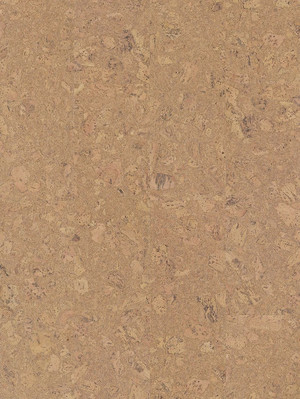 w80002263ESC Wicanders cork Essence Korkboden...