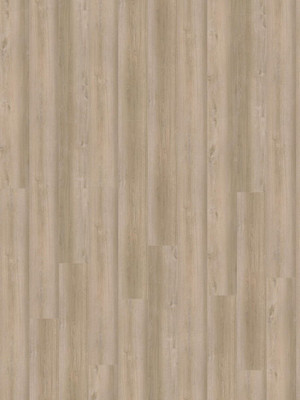 wPLC097RXL Wineo 1200 Purline Bioboden Click Semi - Rigid XL Wood XL Cheer for Lisa