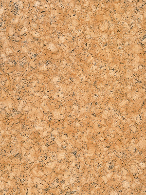 wgpr0027 Gerflor Primetex CV Belag PVC-Boden Vinyl-Belag CORK NATUREL