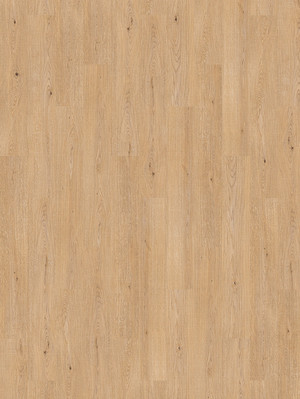 Amorim WISE Wood Inspire 700 SRT Natural Light Oak Korkboden Fertigparkett mit Klick-System