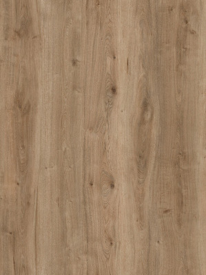Amorim WISE Wood Inspire 700 SRT Field Oak Korkboden Fertigparkett mit Klick-System