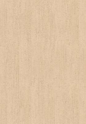 Amorim WISE Cork Inspire 700 HRT Traces Marfim  Korkboden...