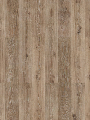 Amorim WISE Wood inspire 700 HRT Taupe Washed Oak Korkboden Fertigparkett mit Klick-System