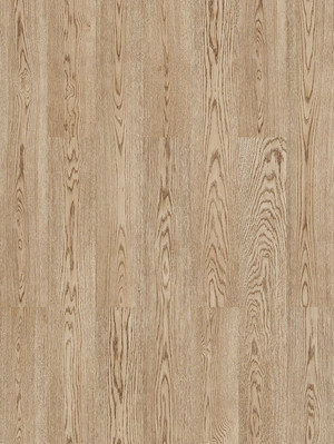 Amorim WISE Wood inspire 700 HRT Dapple Oak  Korkboden Fertigparkett mit Klick-System