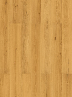 Amorim WISE Wood inspire 700 HRT Golden Prime Oak...