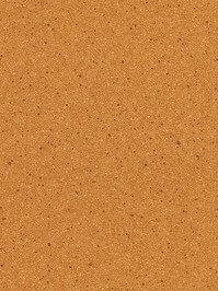 wALTCH2840U Altro Orchestra R200 PVC-Boden EasyClean Bongo