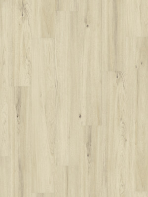 Amorim WISE Wood Pro SRT Diamond Oak Korkboden zum Verkleben