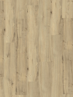 Amorim WISE Wood Pro SRT Field Oak Korkboden zum Verkleben