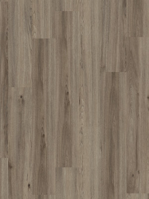 Amorim WISE Wood Pro SRT Quartz Oak Korkboden zum Verkleben