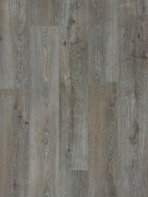 wPro42110026 Profilor Profiline First Laminat Texas Dark...
