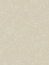 wnp6906-266B Nora Noraplan lona Kautschukbelag Gummi...