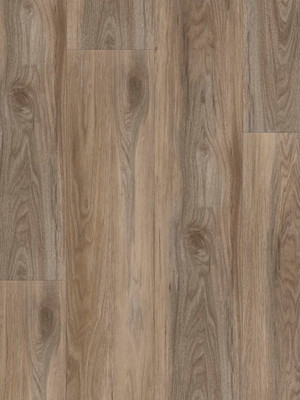 wA-CL89994 Adramaq Kollektion TWO Click Wood Planken zum Klicken Ulme Grau