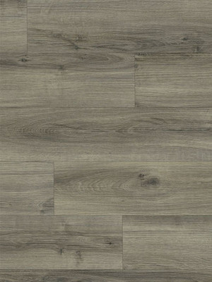 wMod24962 Moduleo Primero 30 Vinyl Designbelag Wood...