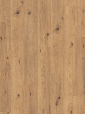 wE368577 Egger 7/31 Classic Laminatboden Wood Planken mit...