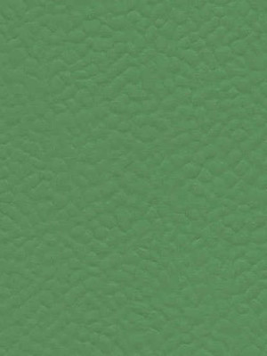wGer6556 Gerflor Taraflex Sportboden Recreation 45 Verde