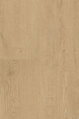 wDB281WL-400w Wineo 400 Wood Designbelag Vinyl Designbelag zum Kleben Plain Oak Beige