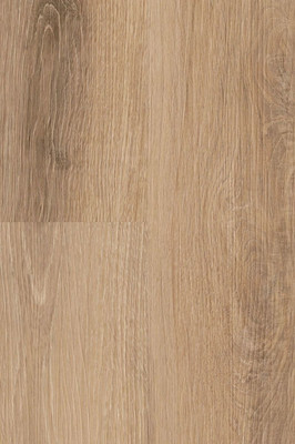 wDB283WL-400w Wineo 400 Wood Designbelag Vinyl Designbelag zum Kleben Vivid Oak Nature