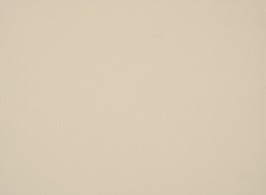 w4345ts Gerflor Taraflex Sportboden Beige 4345 Ecru...