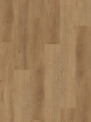 Muster: m-wDB819WL-800w Wineo 800 Wood L Designbelag...