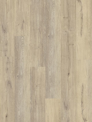 wDB816WL-800w Wineo 800 Wood L Designbelag  Designbelag...