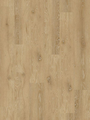 wDB817WL-800w Wineo 800 Wood L Designbelag  Designbelag...