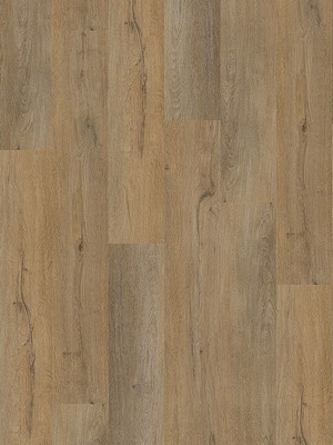 wDB820WL-800w Wineo 800 Wood L Designbelag  Designbelag...