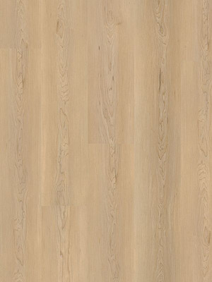 Muster: m-wDB831WXL-800w Wineo 800 Wood XL Designbelag...