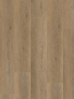 Muster: m-wMLD837WXL-800w Wineo 800 Wood XL Click...