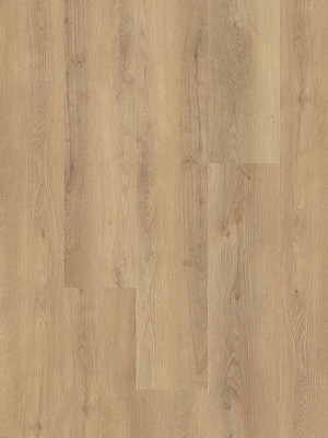 Muster: m-wMLD834WXL-800w Wineo 800 Wood XL Click...