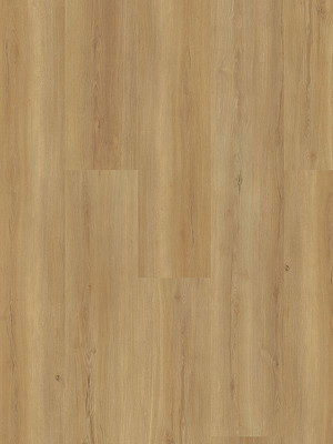 Muster: m-wMLD835WXL-800w Wineo 800 Wood XL Click...