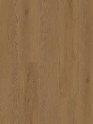 Muster: m-wMLD838WXL-800w Wineo 800 Wood XL Click...