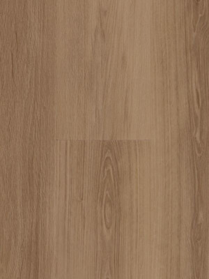 Profilor  Zentrum Rigid Acoustic  Monsanto Rigid...