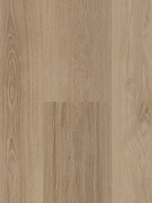 Profilor  Zentrum Rigid Acoustic  Orlando Rigid...