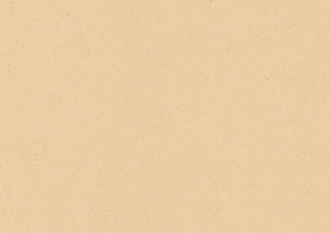 wPLR377C Wineo 1500 Chip Purline PUR Bioboden Sunshine...