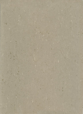w8940043 Gerflor DLW Colorette Neocare Linoleum light mud...