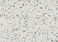 w86630350 Gerflor Mipolam Vinyl homogen EL 5 Rolle...
